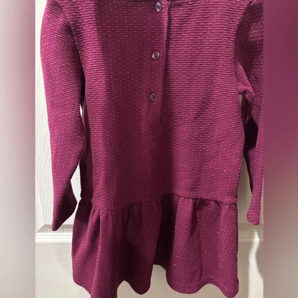 Janie and Jack Burgundy Dress